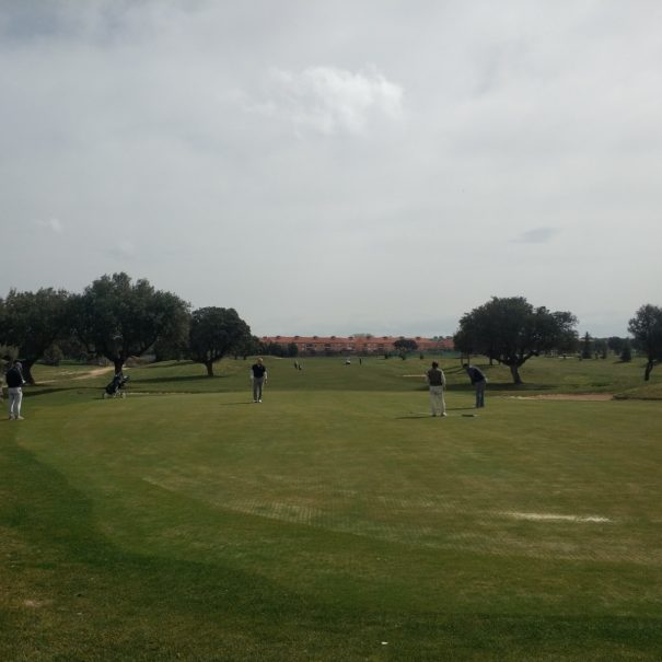 Torneo solidario "El Golf con La Palma"