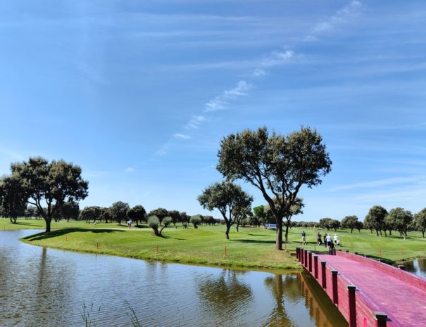 Liga infantil de golf Hyundai Gestorauto