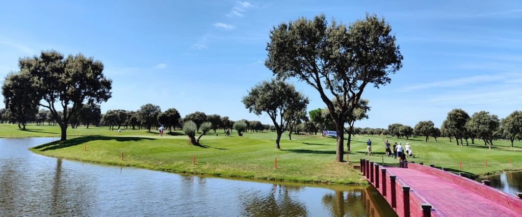 Liga infantil de golf Hyundai Gestorauto